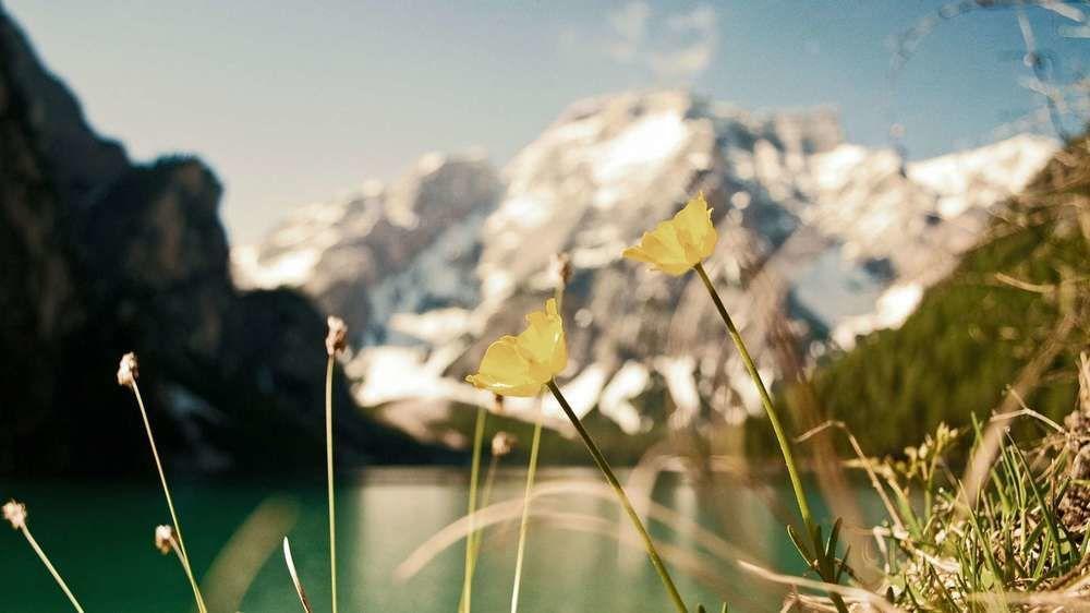 Hotel Trenker Braies  Esterno foto